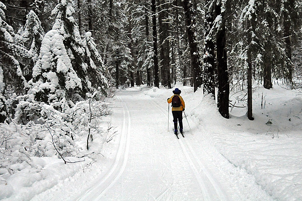 Lake Wenatchee State Park crosscountry skiing trails in snow
