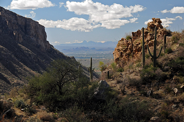 Sabino Canyon Recreation Area in Coronado National Forest Phoneline Trail saguaro cactus cliffs