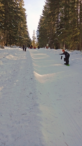 Lake Wenatchee State Park Sno-Park Sled Hill sledding