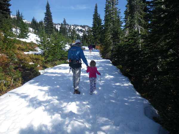 Hiking trail to Myrtle Falls in Mt Rainier National Park