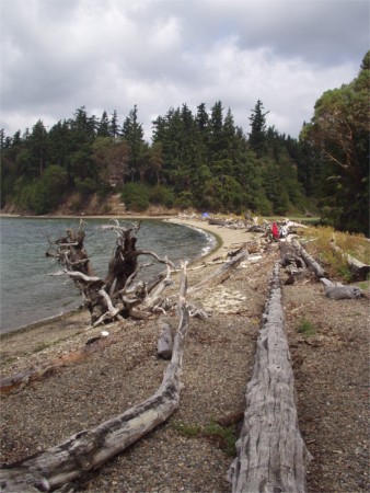 Anderson Island Washington Water Trails Association WWTA campsite, Puget Sound, Washington