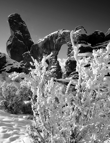 Turret Arch In Arches National Park Utah With Snow Covered Bushes