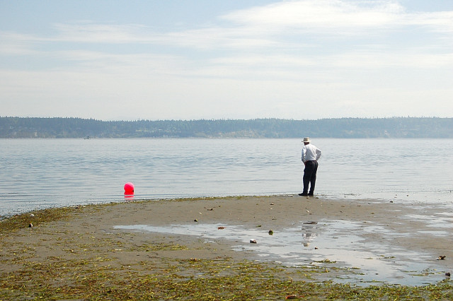 Walking Bells Beach In Langley On Saratoga Passage At Low Tide