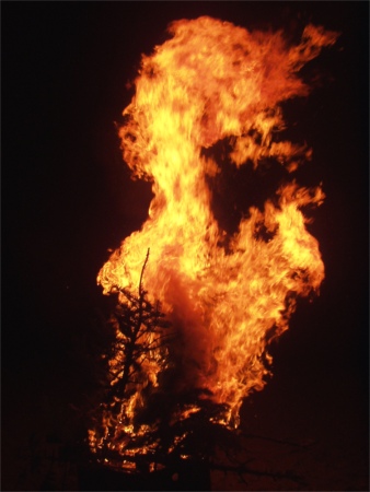 Burning Christmas Tree 2 At Golden Gardens Beach, Seattle