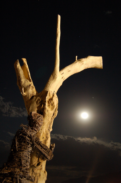 Burning Man Stick Woman Tree Art Scultpure