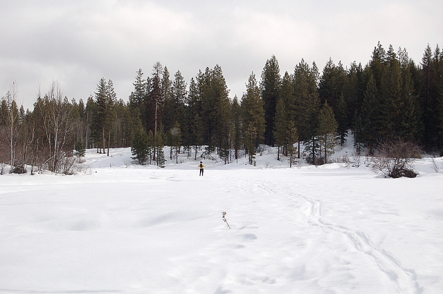 Camas Land Meadows, Before Heading Up Tiptop Mountain