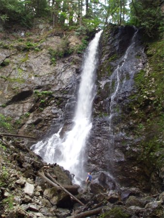 Waterfall In Forest At Critical Massive For Seattle Washington Area, At Lake Bronson