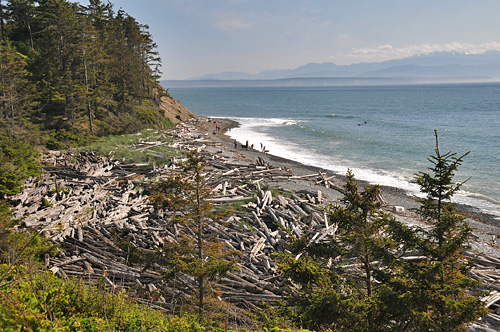 Fort Ebey State Park In Coupeville Of Whidbey Island, Beach Bluffs And Driftwood Piles Looking Over Puget Sound To The Olympic Mountains