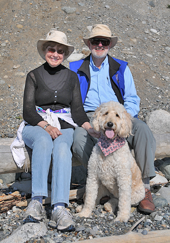 Fort Ebey State Park In Coupeville Of Whidbey Island, Driftwood At Base Of Bluff