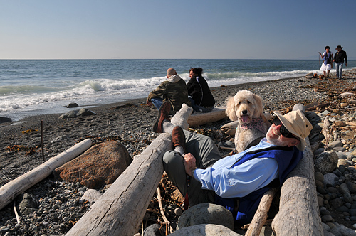 Fort Ebey State Park In Coupeville Of Whidbey Island, Driftwood On Beach Overlooking Strait Of Juan De Fuca