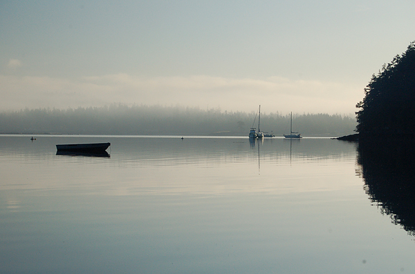 Hope Island State Park Looking Northeast Across Fog And Sailboats To Tosi Point In La Conner