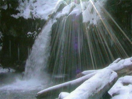 Iron Creek Falls Near Mt St Helens