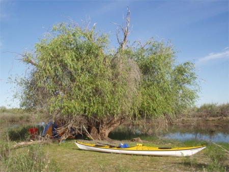 Campsite With Kayak At Potholes Reservoir  (c) Scott Price