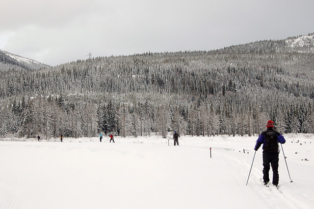 Cross-Country Skiing Away From Keechelus Lake On That Dam Loop Trail