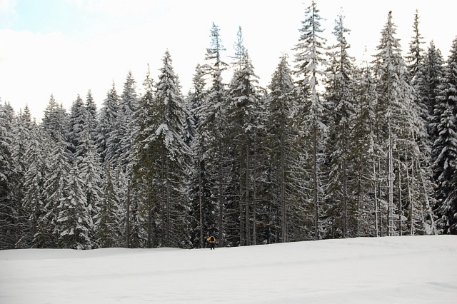 Karen Cross-Country Skiing In Fresh Powder Off Of That Dam Loop Trail In Clearing Ne Keechelus Lake Dam