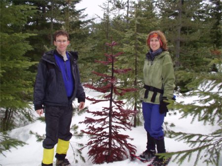 Scott And Karen By Red Confier, Snowshoeing On Keechelus Ridge