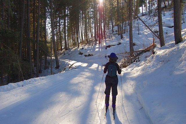 Lake Wenatchee State Park, Cross-Country Skiing On Nason Ridge