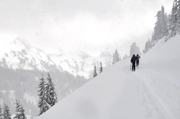 Mount Rainier National Park Cross-Country Skiing In Paradise Valley Along Valley Road Views Of Tatoosh Mountain Range