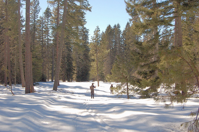 Lava Loop Trail Mt Adams Gifford Pinchot National Forest Cross-Country Skiing