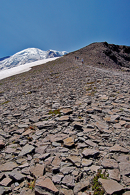 Hiking Across Rock Of Second Burroughs On Burroughs Mountain Trail In Mount Rainier National Park