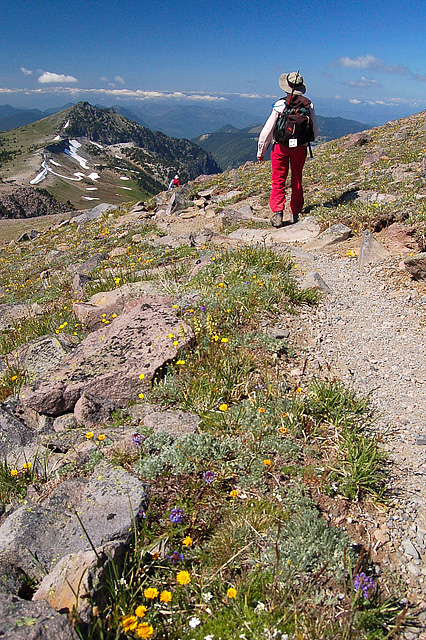 Burroughs Mountain Trail From Second Burroughs With Wildflowers