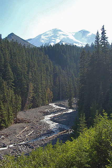 White River Valley Along Glacier Basin Trail In Mount Rainier National Park