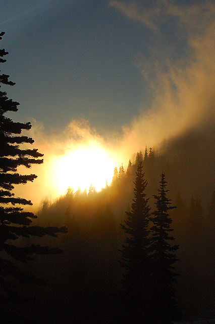 Mount Rainier National Park Naches Peak Loop Trail Sunset Clouds Trees