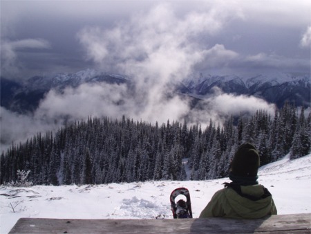 View Of Olympic Mountains From Near Hurricane Ridge, Snowshoeing In Olympic National Park