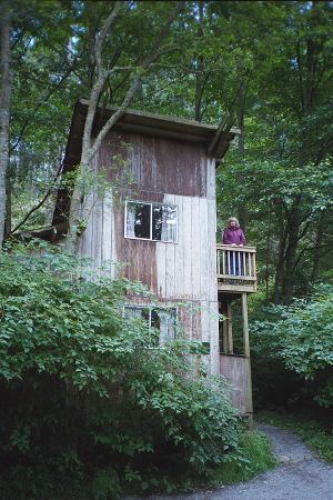 Doe Bay Cabin On Orcas Island