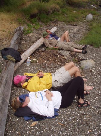 Hard At Rest On Posey Island Marine State Park Beach