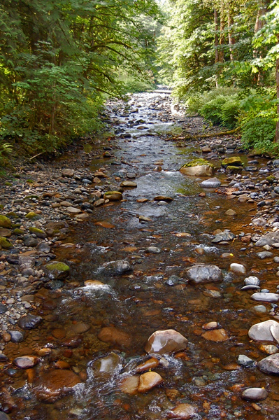 Preston Snoqualmie Trail Crossing Raging River On Luten Bridge