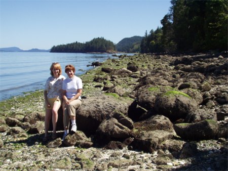 Salt Spring Island Shoreline In Front Of Erin Brook Cottage