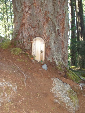 Gnome Door In Tree On Trail Up To Top Of Mt. Erskine, Salt Spring Island, British Columbia