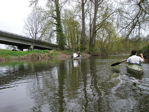 Seattle Arboretum Kayaking Canoeing By Trees And 520 Bridge By Montlake Cut Union Bay Lake Washington