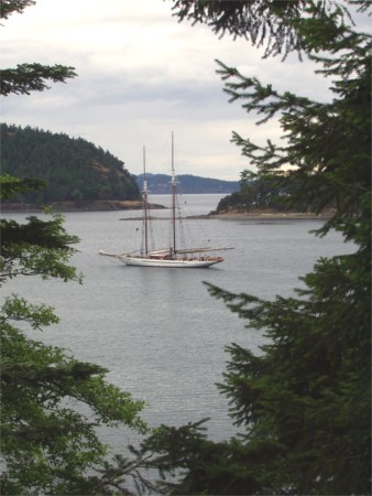 Schooner Adventuress At Anchor In Prevost Harbor, Stuart Island State Park