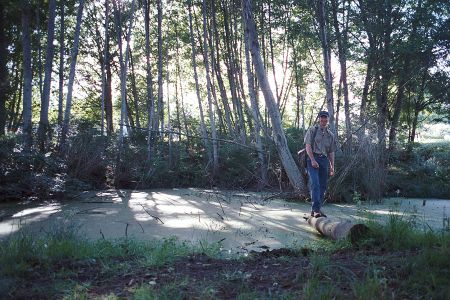 Jim On A Log In His New Waldron Island Pond