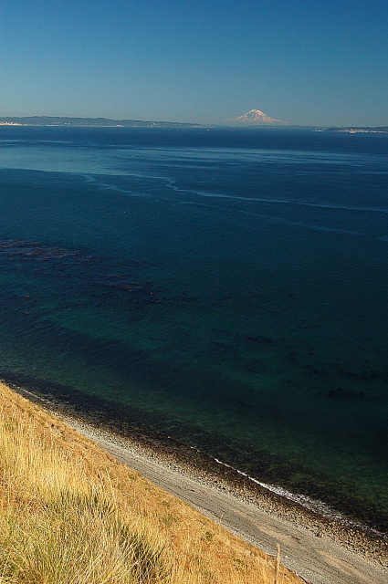 Fort Ebey State Park Beach And View Of Mt. Rainier, Coupeville, Whidbey Island