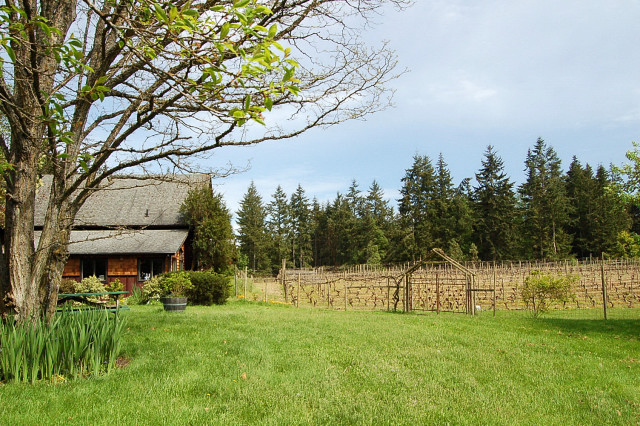 Whidbey Island Winery And Vineyards In Langley