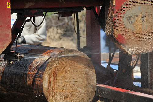 Wild Thyme Farm Oakville Lumber Milling And Drying Workshop By NCF / NNRG, Blade Close-Up With Water Through Log