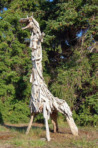 Driftwood Giraffe Sculpture On Lopez Island Aleck Bay Road