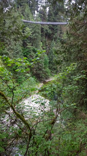 Capilano Suspension Bridge Park bridge looking up canyon