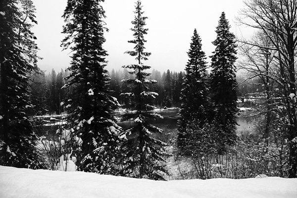 Lake Wenatchee State Park Wenatchee River overlook cross-country skiing trails