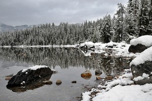 Lake Wenatchee State Park snow covered shore and trees