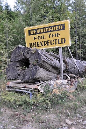 Holberg Road Be Prepared For The Unexpected log crushed car near Port Hardy in northern Vancouver Island