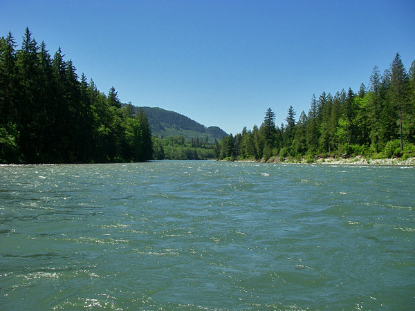 Skykomish River rafting forest lined shores