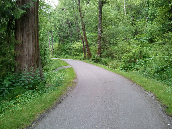 Soos Creek Trail Renton to Kent bicycling, running, walking, horseback riding path