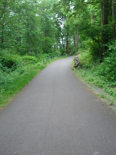 Soos Creek Trail Renton to Kent paved bicycling, running, walking, horse path through trees