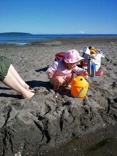 Double Bluff State Park playing on sandy beach by Puget Sound with Mt Rainier in distance