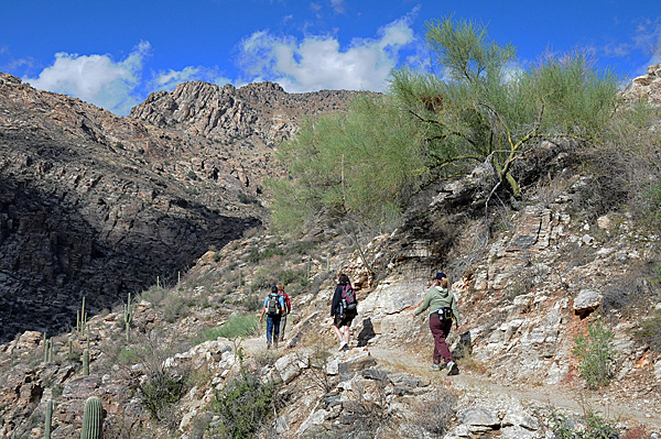 Sabino Canyon Recreation Area in Coronado National Forest Phoneline Trail hikers