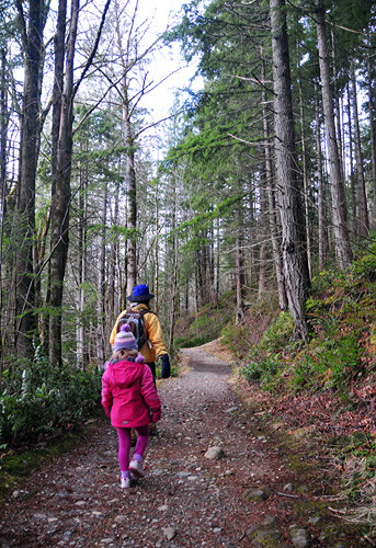 Hiking High School Trail at Tiger Mountain in Issaquah